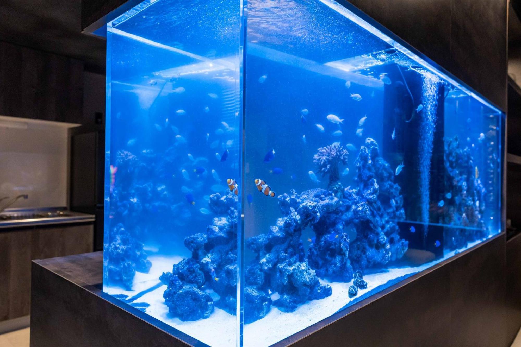 Japavista Aqua Villa