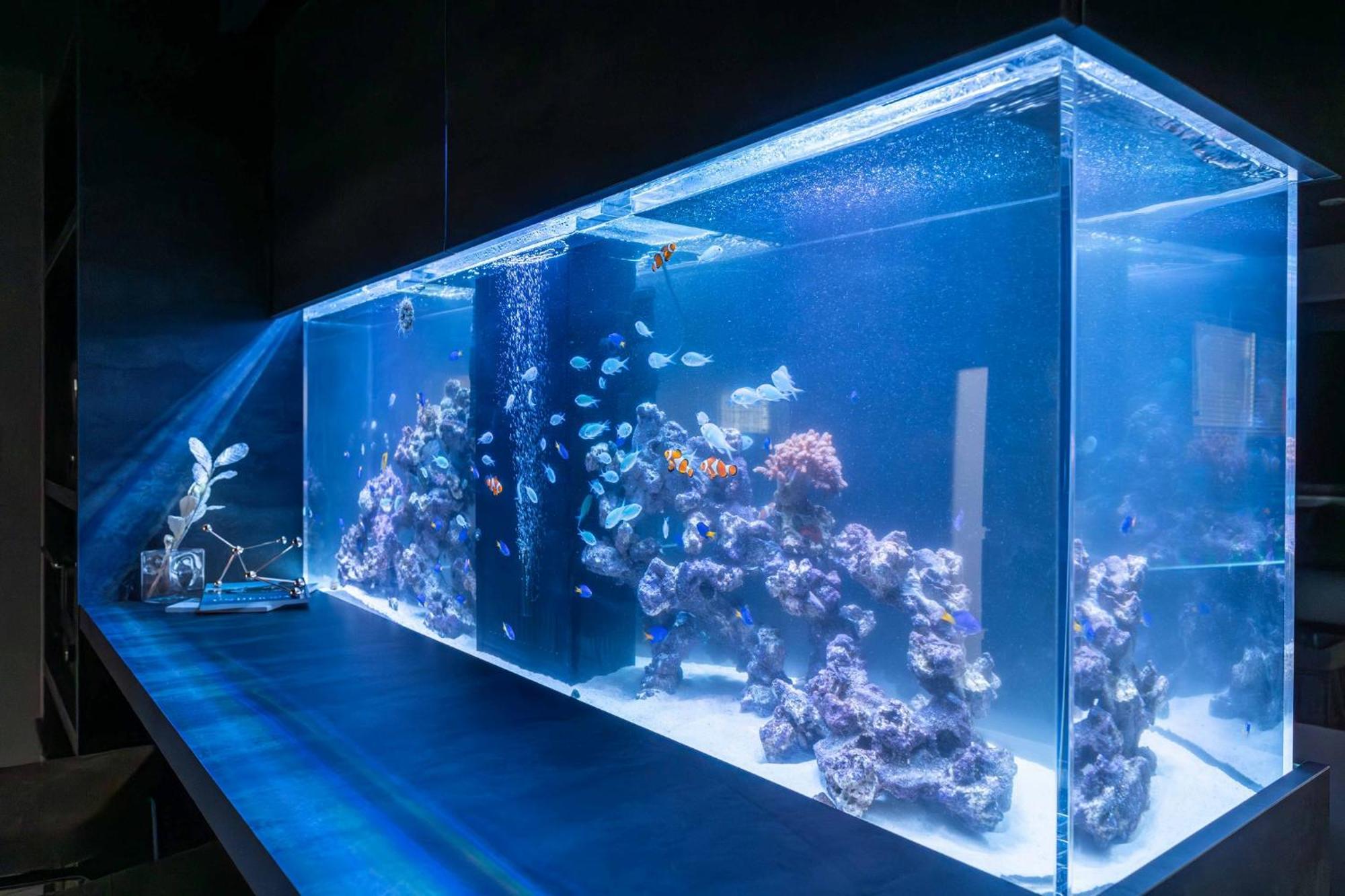 Japavista Aqua * Osaka